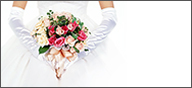 Wedding Packages